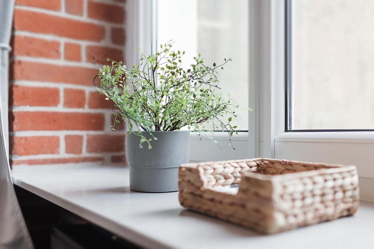 Right In The Heart Of Wroclaw Appartement Buitenkant foto